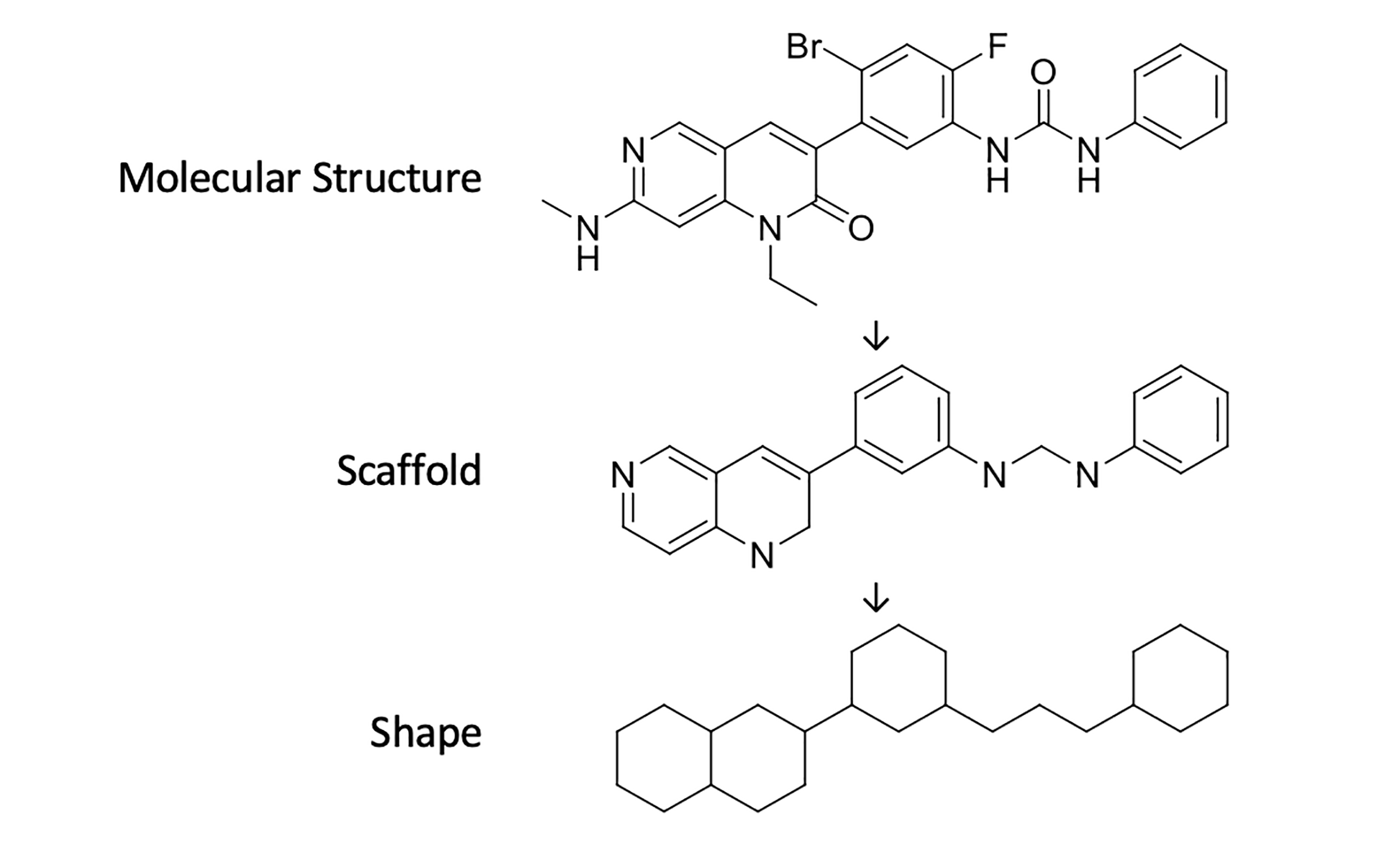 药物分子形状和骨架的定义示例