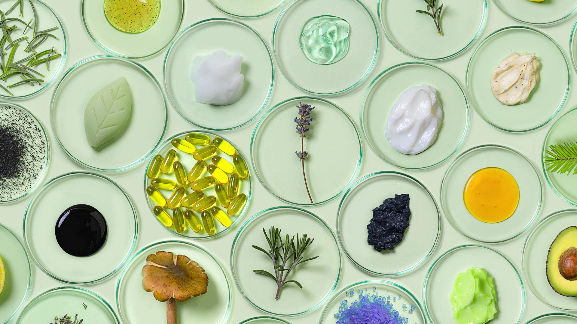 Cosmétiques biologiques avec boîtes de Petri remplies de produits de beauté et de plantes naturelles.