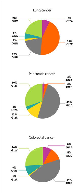 결장암, 췌장암, 폐암의 K-RAS 돌연변이 유형을 보여주는 다이어그램 