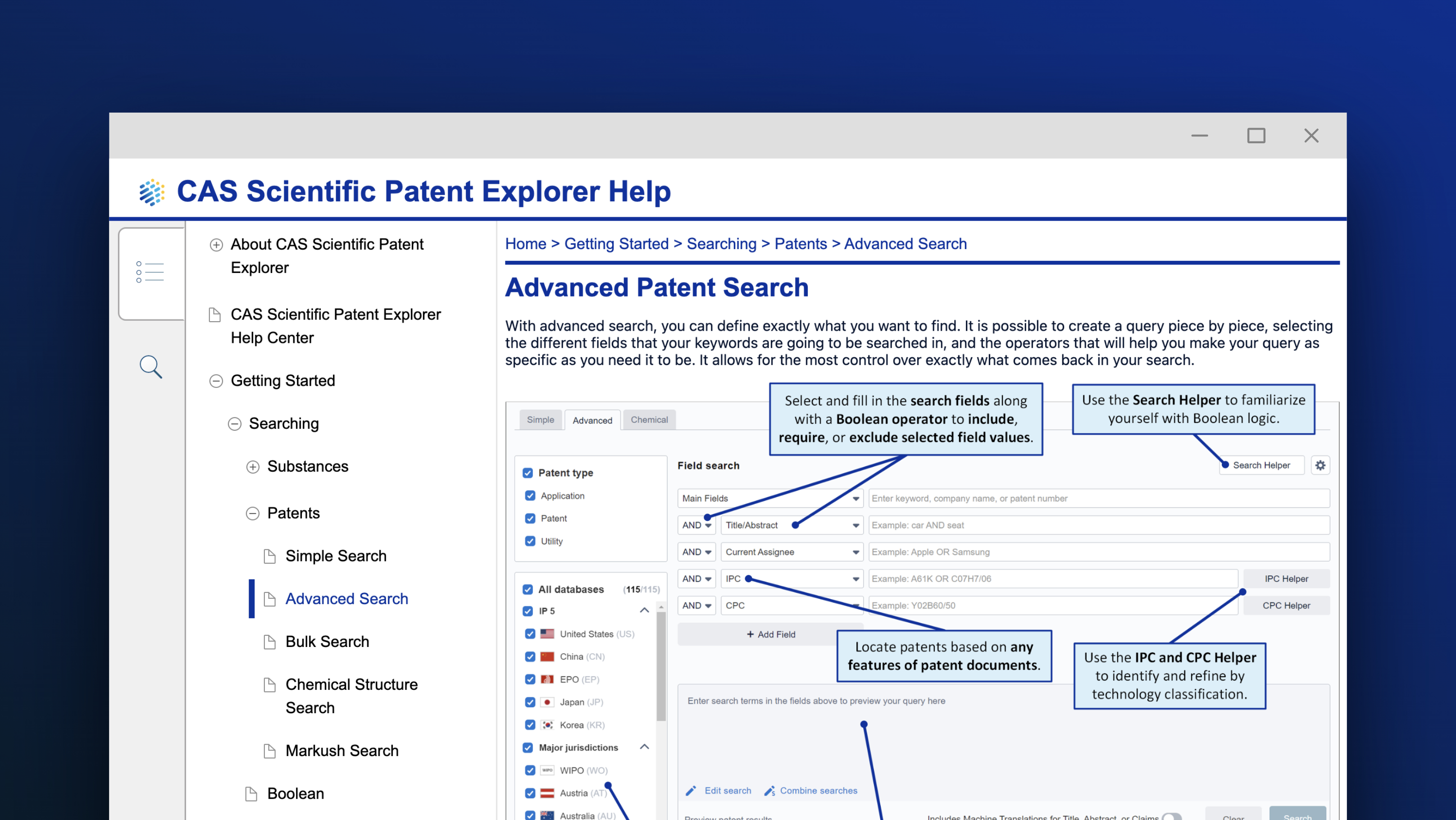Building an advanced patent search screenshot