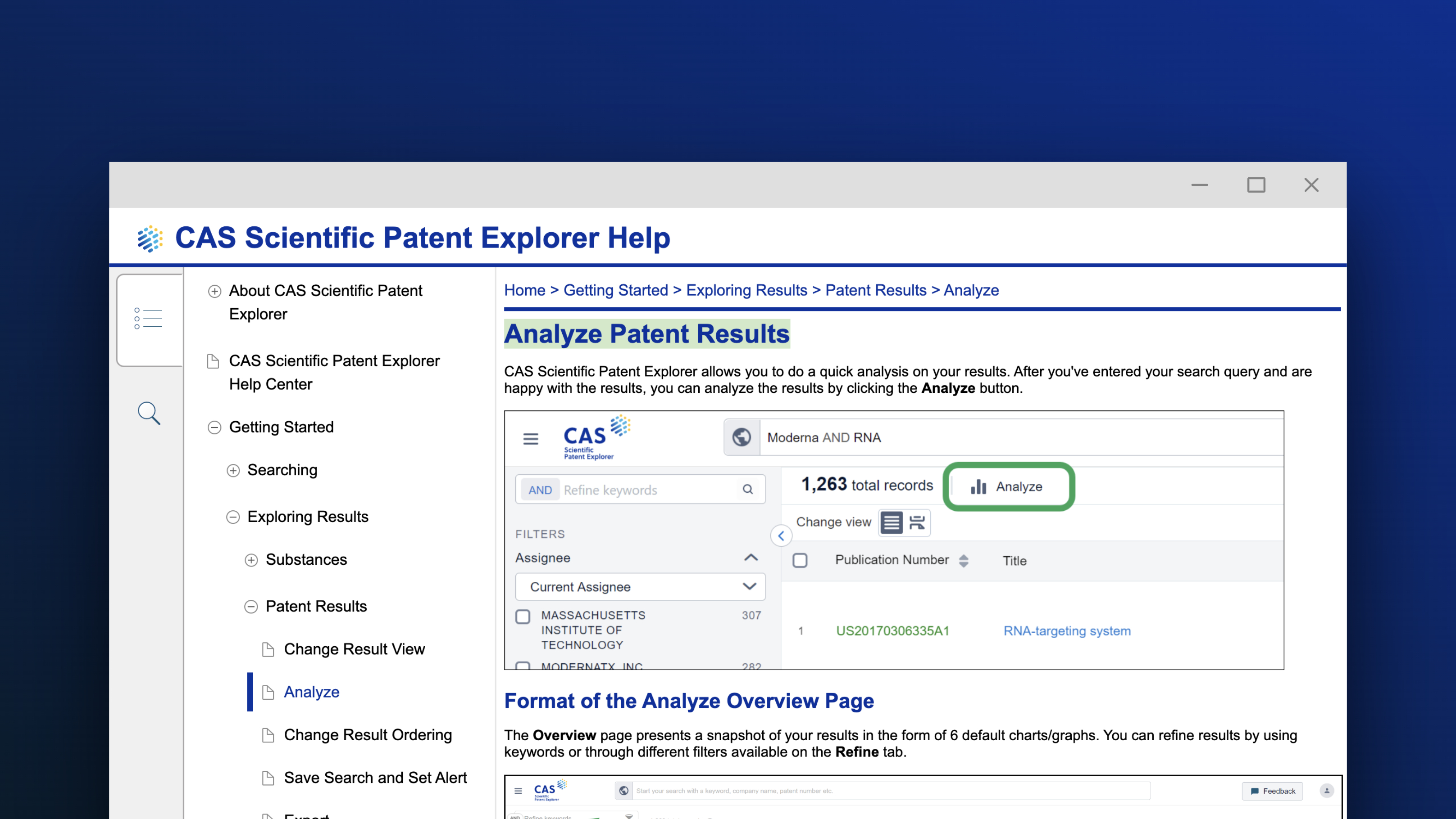 Analyze Patent Results screenshot