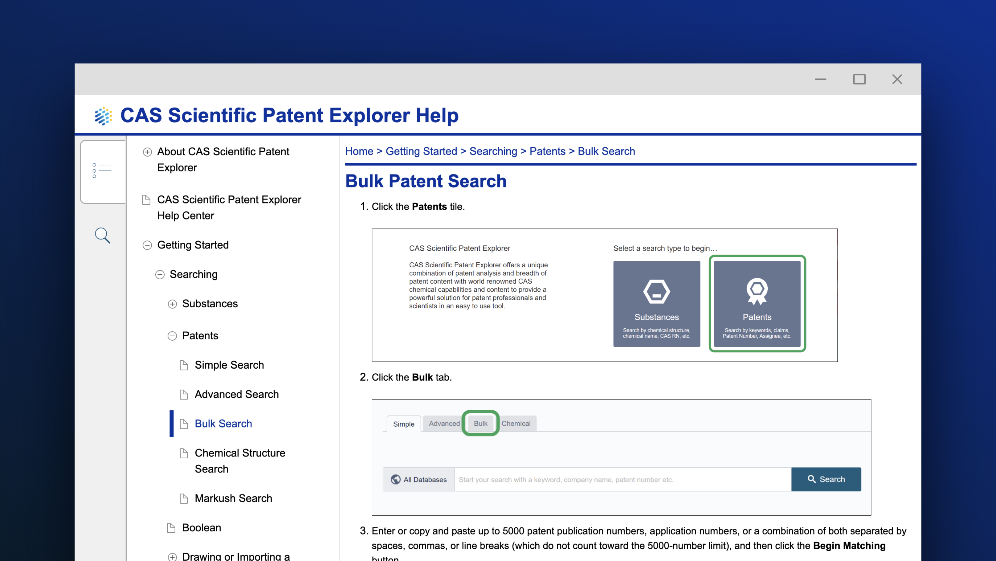 Bulk Patent Search screenshot