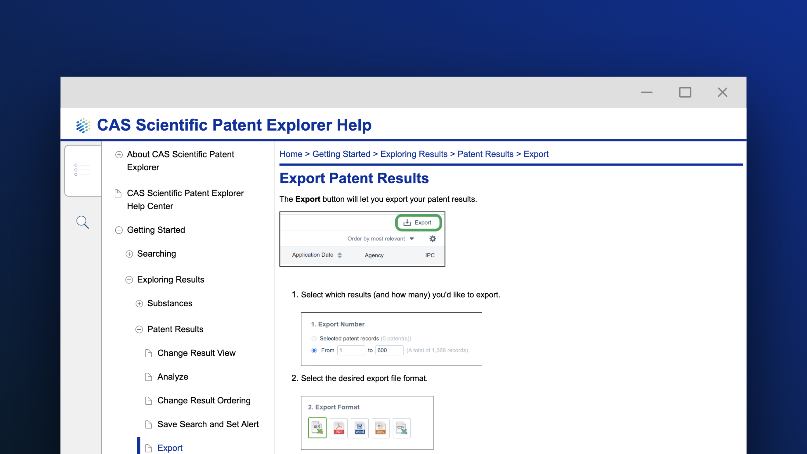 Export patent results screenshot