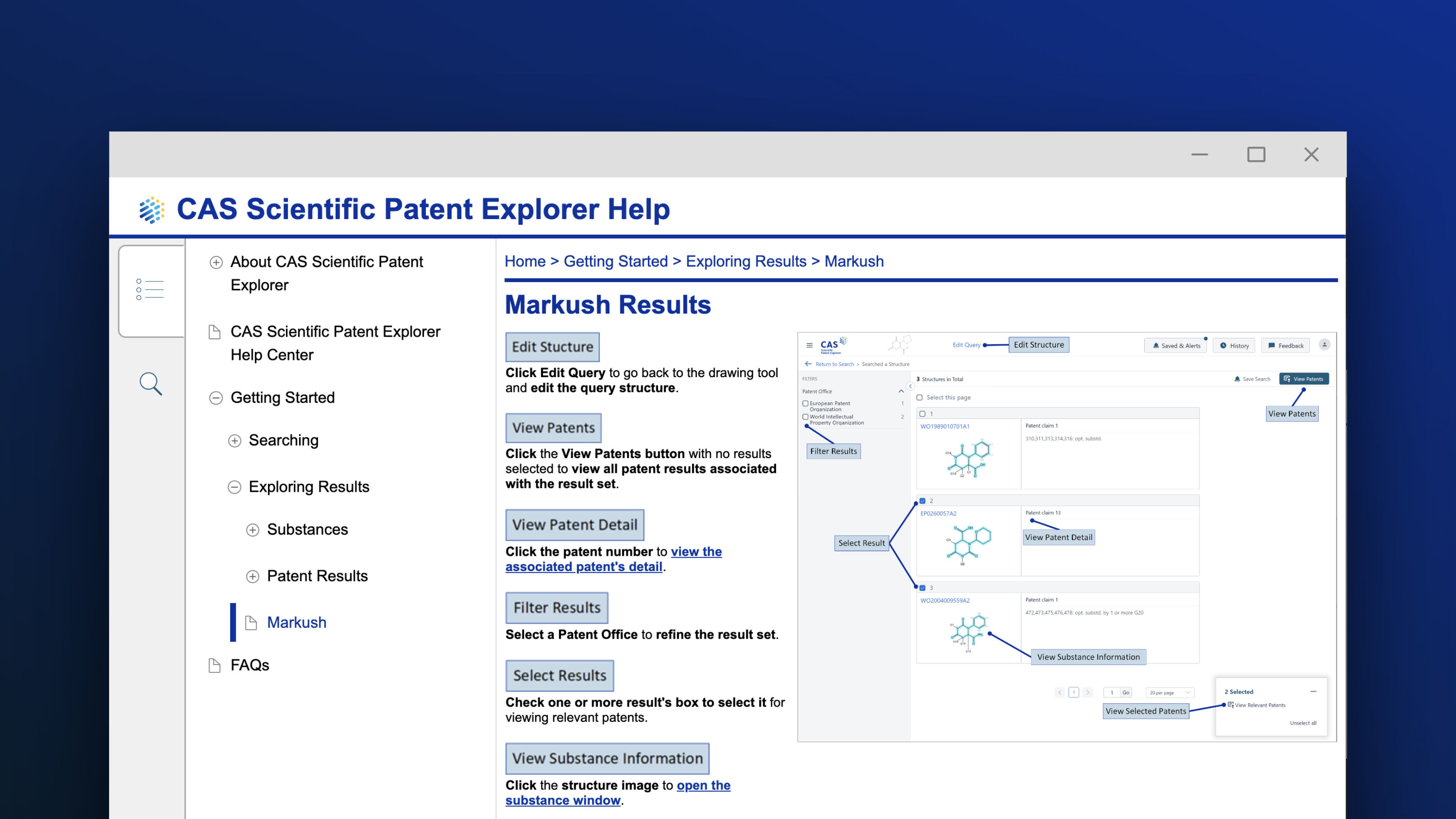 Markush results screenshot