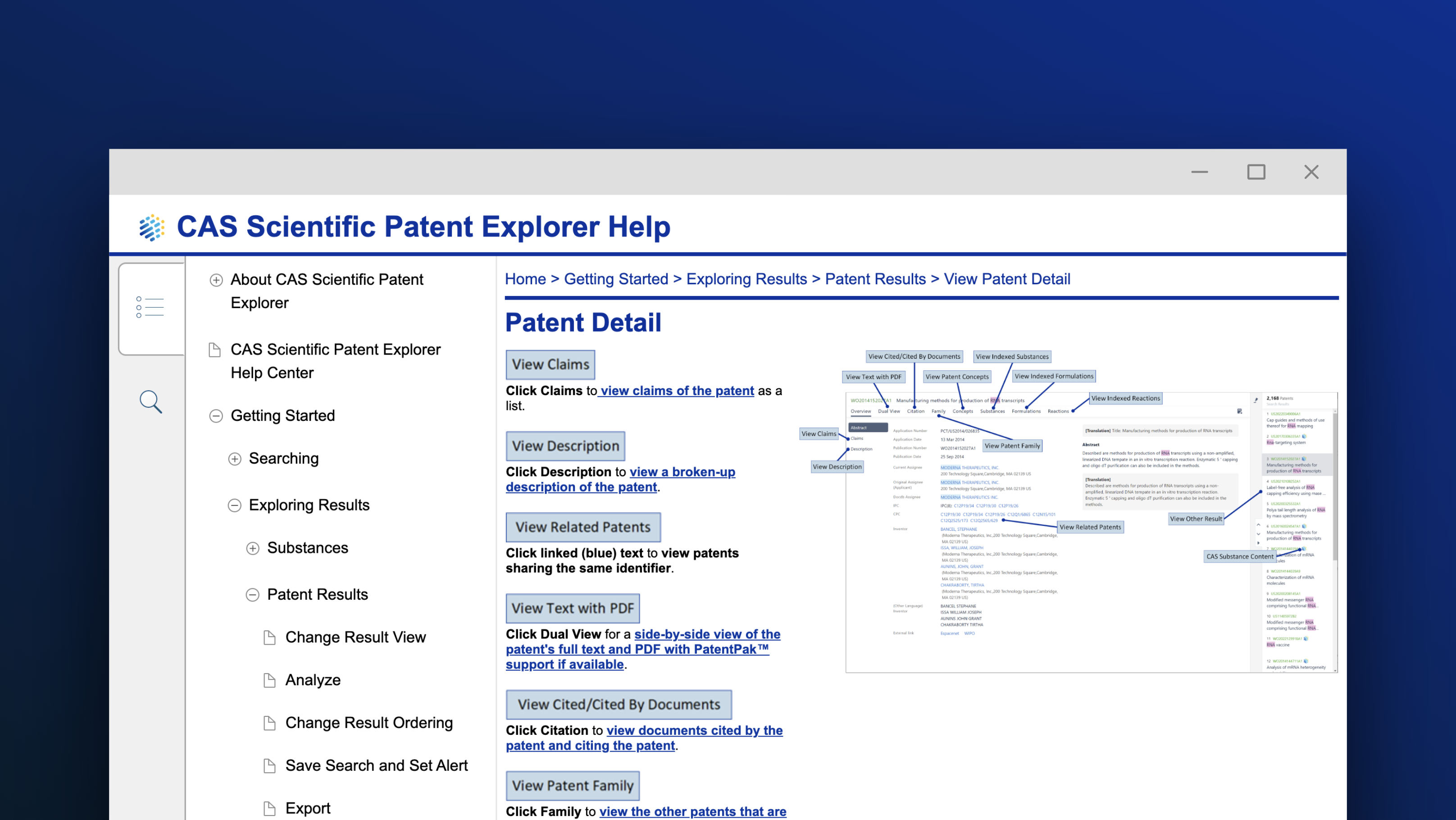 Patent detail screenshot