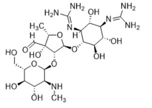 Aminoglycosides-image1