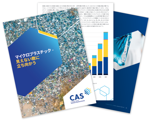 CASGENJPWHP100912-Microplastics-Insight-Report-White-Paper-A4