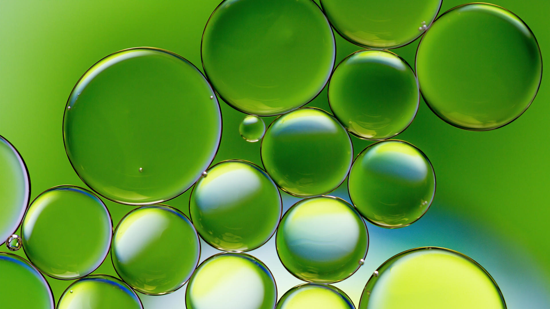 Colourful image of oil drops floating on water