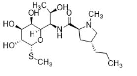 Lincosamides-image12