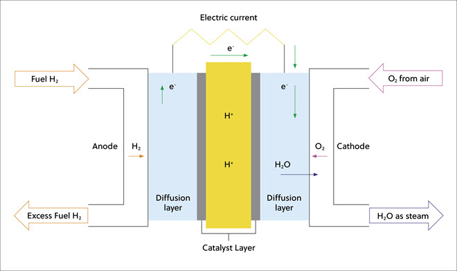 Diagram showing general structure and operation of a hydrogen fuel cell.
