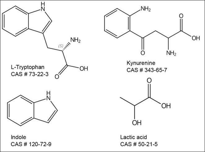 Estructura química del triptófano, sus metabolitos y el ácido láctico que produce el microbioma intestinal