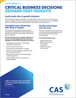 CAS IP Services Due Diligence Search flyer cover