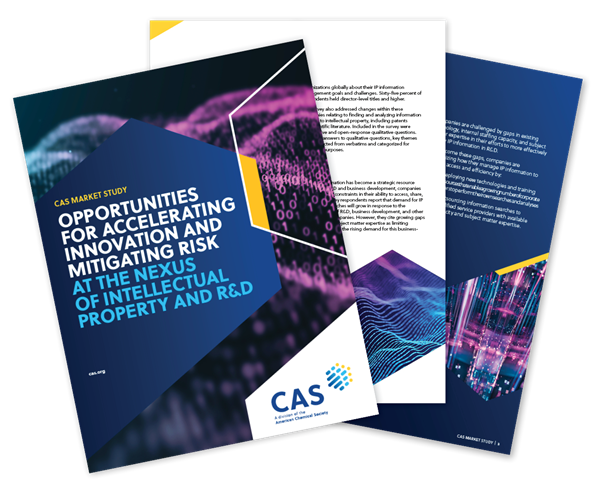 Imagem de capa do Relatório de pesquisa sobre PI do CAS