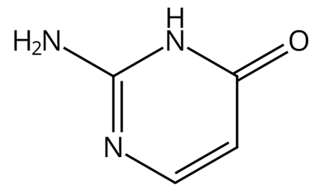 Isocytosine structure