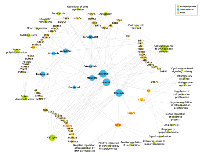 knowledge graph network diagram with top ten drug candidates for COVID-19 treatment