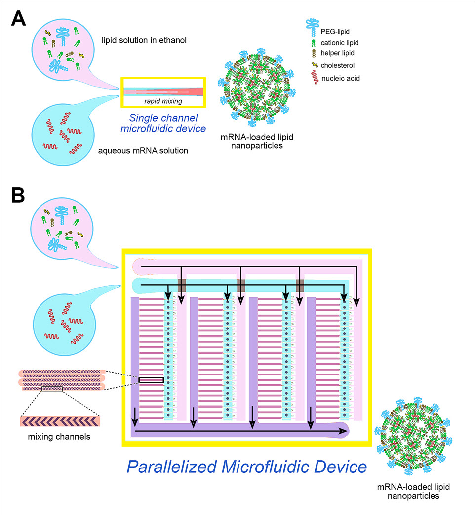 schematic of microfluidic devices