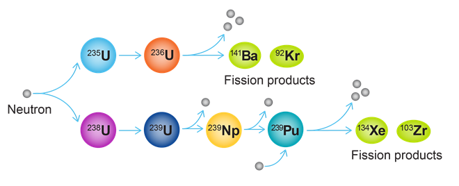 illustration of nuclear fission reactions