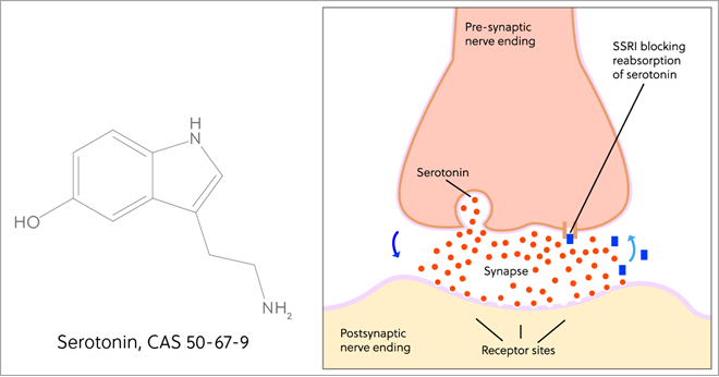 血清素的化学结构和突触阻滞剂图