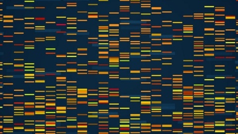 Genomic visualization. Dna genomes sequencing data analysis. Digital internet technology, bioinformatics testing chromosome vector concept