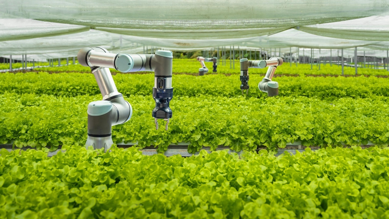 Smart farm and Automatic robot mechanical arm harvesting vegetables