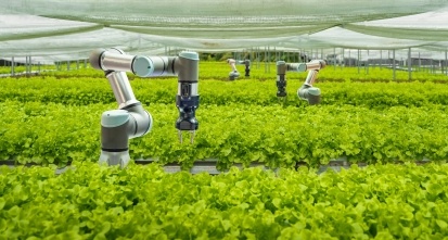 Smart farm and Automatic robot mechanical arm harvesting vegetables