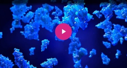 Molecular Glues Video Player Image