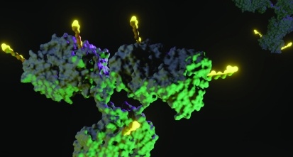 casgenengsoc101701 antibody drug conjugates article