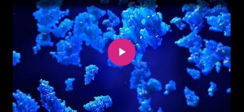 Molecular Glues Video Player Image