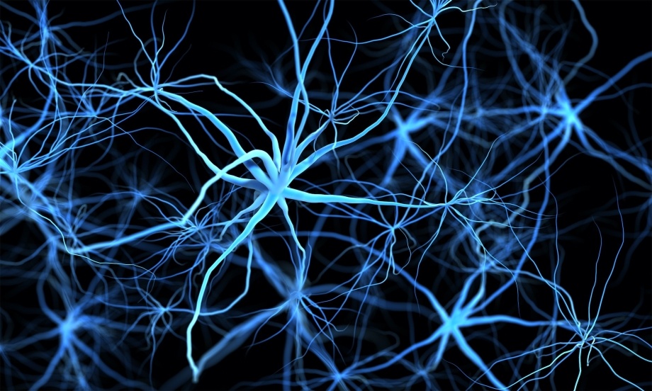 Blue and white neuron type web